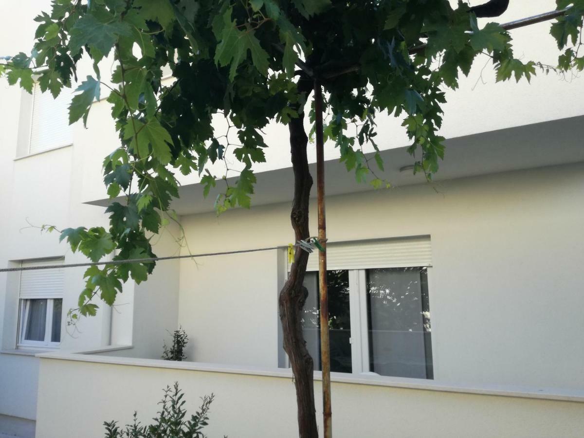 Apartment Drosanjica 扎达尔 外观 照片